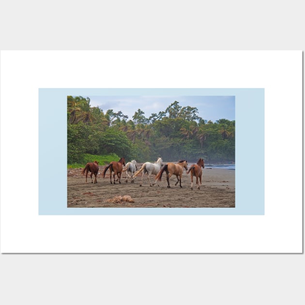 Costa Rica. Town of Cahuita. Horses on the Beach. Wall Art by vadim19